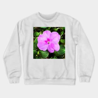 Busy Lizzie/Impatiens walleriana Crewneck Sweatshirt